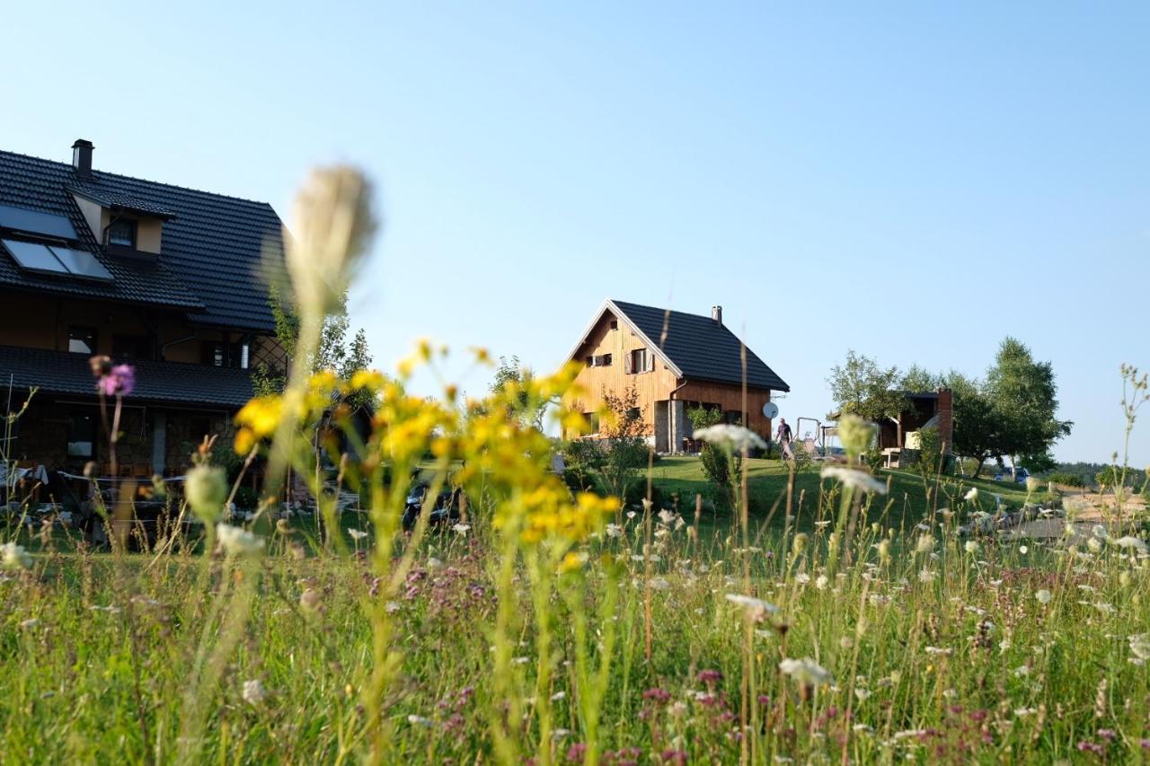 House Izvor Otel Jezerce Dış mekan fotoğraf
